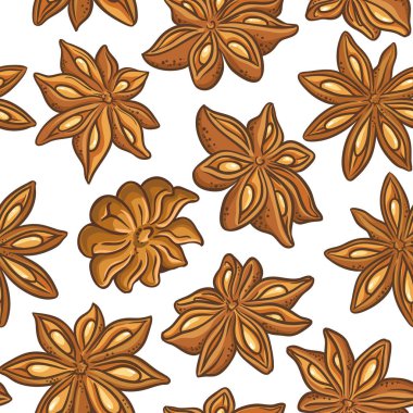 Anason vektör desen