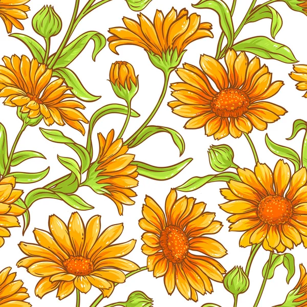 Calendula bloemenpatroon vector — Stockvector