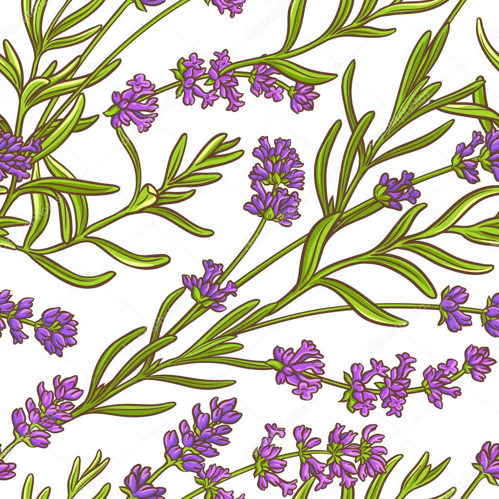 lavender plant vector pattern