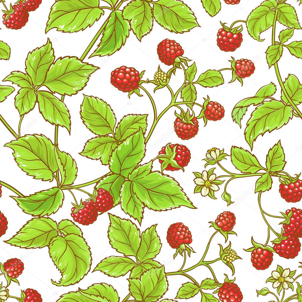aspberry branch vector pattern