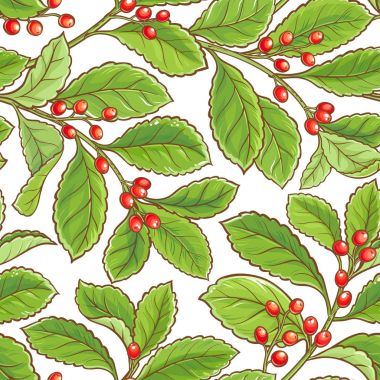 yerba dostum vektör desen