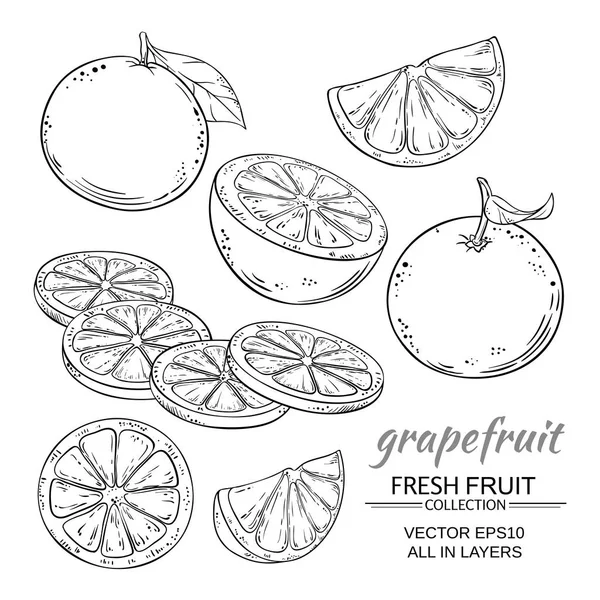 Grapefruit vector set — Stockvector