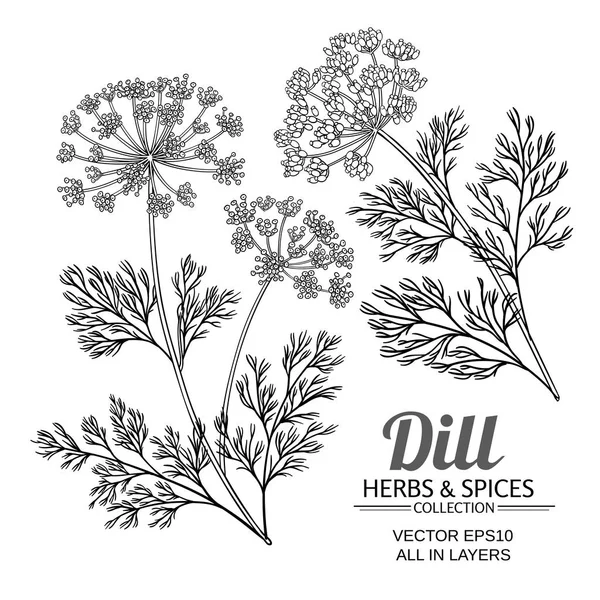 Dill plant vector set — Stock Vector