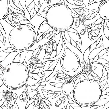 Greyfurt vektör desen