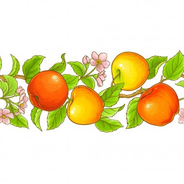 elma seamless modeli