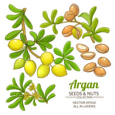 argan dallar kümesi vektör