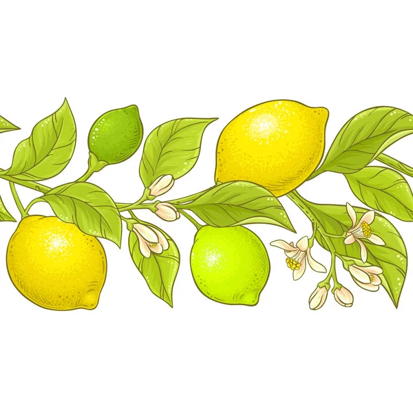 Limon şube vektör desen — Stok Vektör