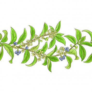 Osmanthus vektör desen