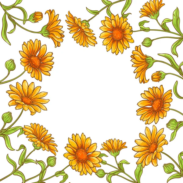 カレンデュラの花ベクトル フレーム — ストックベクタ