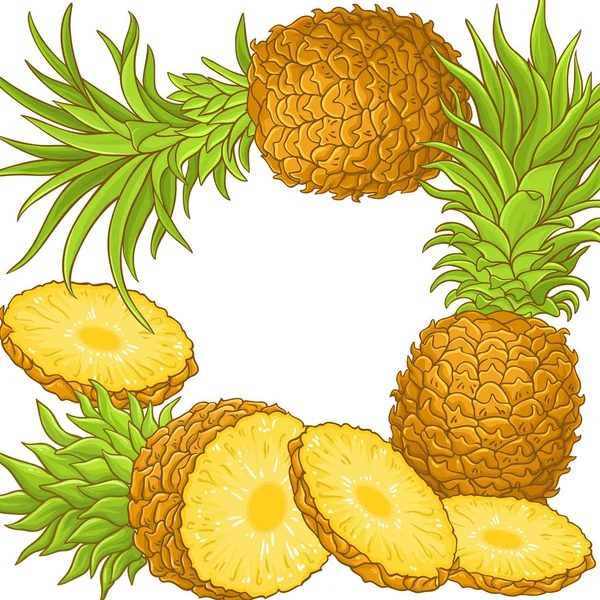 Quadro de vetor de frutas de abacaxi — Vetor de Stock