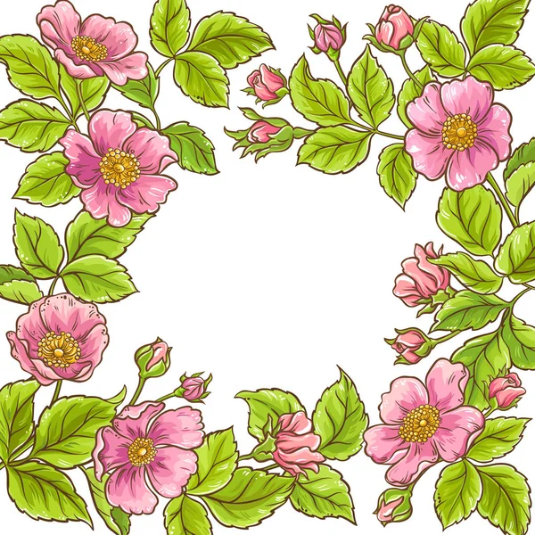 Wild rose vector frame — Stockvector