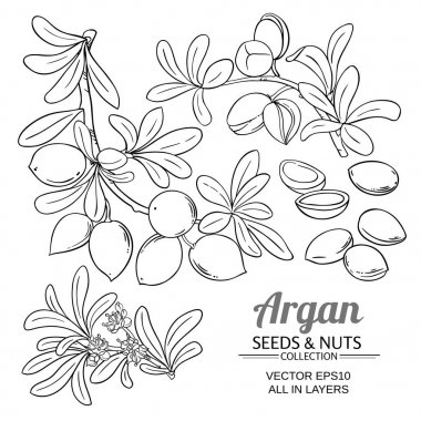 argan dallar kümesi vektör