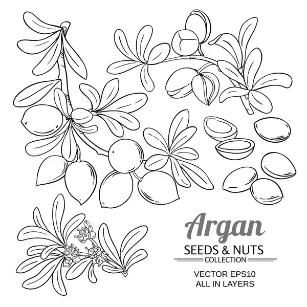 Argan branch vector set — Vettoriale Stock