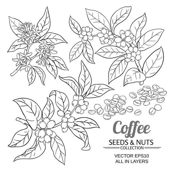 Set de vectores café — Vector de stock