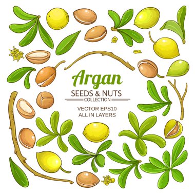 argan öğeleri kümesi vektör