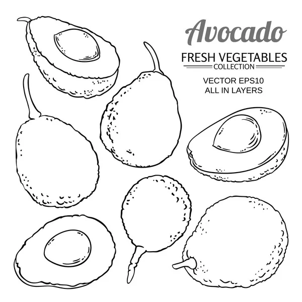 Avocado-Vektorset — Stockvektor