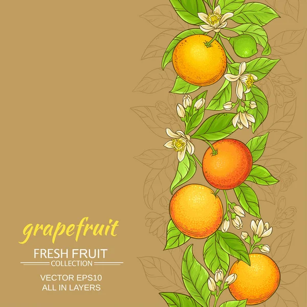 Grapefruit vector patroon — Stockvector