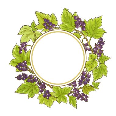 Siyah frenk üzümü vektör çerçeve