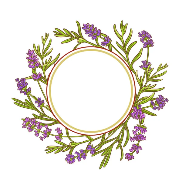 Lavender plant vector frame — Stock Vector