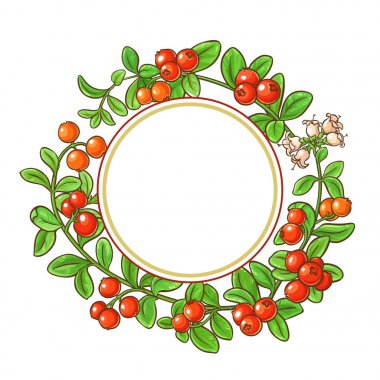 Kızılcık şube vektör çerçeve