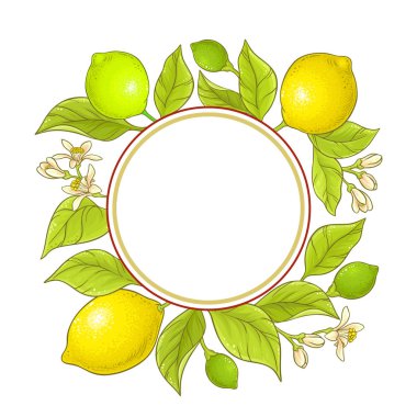 limon şube vektör çerçeve