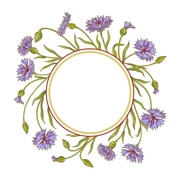 Korenbloem vector frame — Stockvector