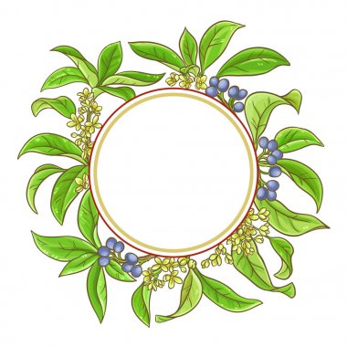 Osmanthus vektör çerçeve