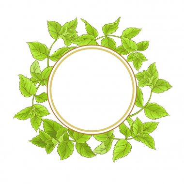 Nane vektör çerçeve