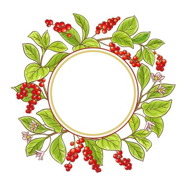 Schisandra şube vektör çerçeve