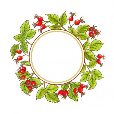 Beyaz arka plan üzerinde yabani gül vektör çerçeve