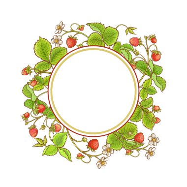 çilek bitki vektör çerçeve beyaz arka plan üzerinde