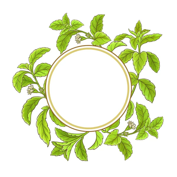 Stevia Cadre Vectoriel Branche Sur Fond Blanc — Image vectorielle