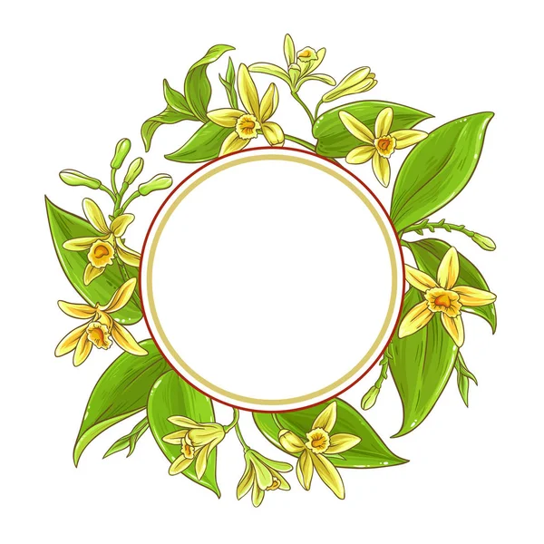 Vanilla Branches Vector Frame Fundo Branco —  Vetores de Stock