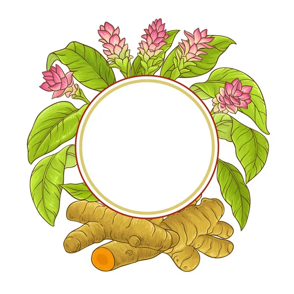 姜黄植物载体框架在白色背景上的研究 — 图库矢量图片