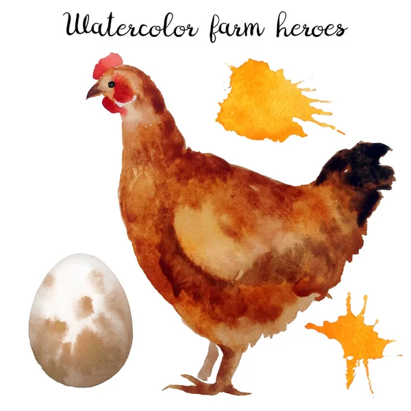 Naturalistic hand-draw watercolor farm bird Stock Photo