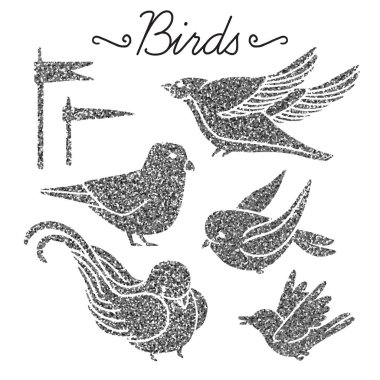 Gümüş Sim ile rasgele kuşlar kümesi