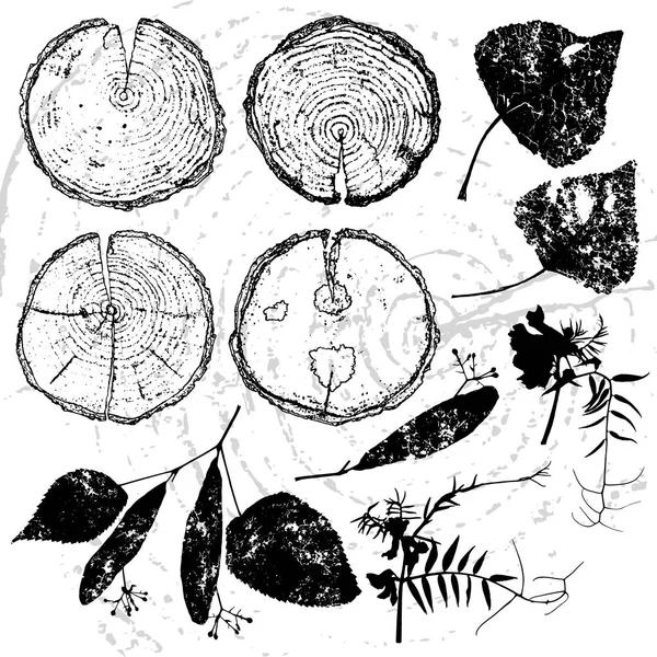ベクトル木分割と標本セット — ストックベクタ