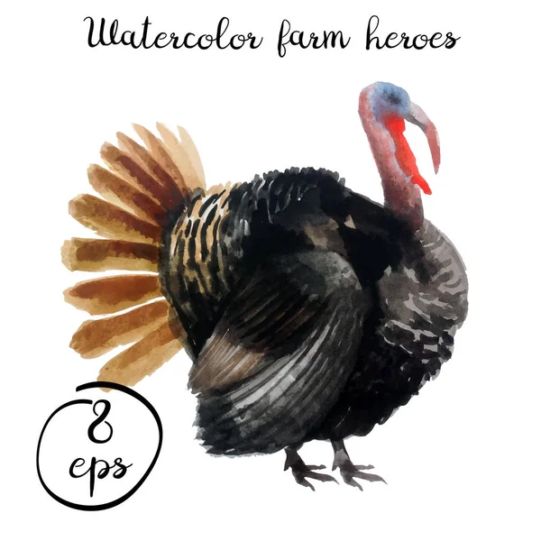 Vektör çiftlik kümes hayvanları Türkiye'de