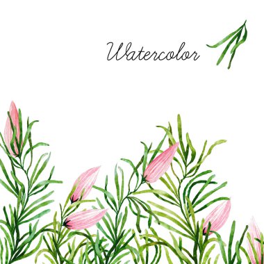 Suluboya botanik öğeleri