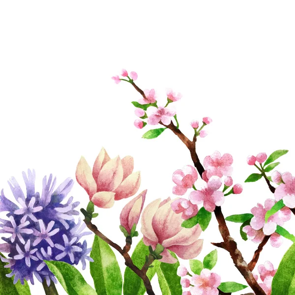 Watercolor botanical elements — Stock Photo, Image