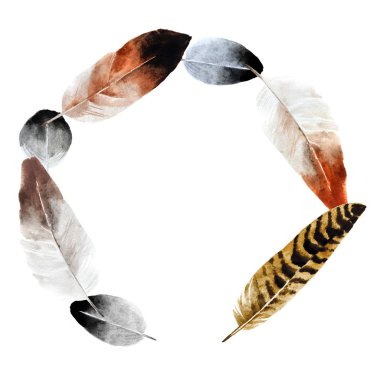 Suluboya elle çizilmiş tüyler