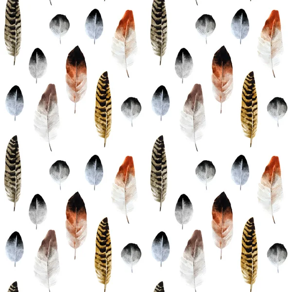 Watercolor feather\'s pattern