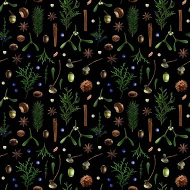 Botanik suluboya deseni siyah arka planda izole edilmiş. Ökseotu, meşe palamudu, iğneler, thuja, tarçın ile Noel desenli tasarım, tekstil ve diğer.