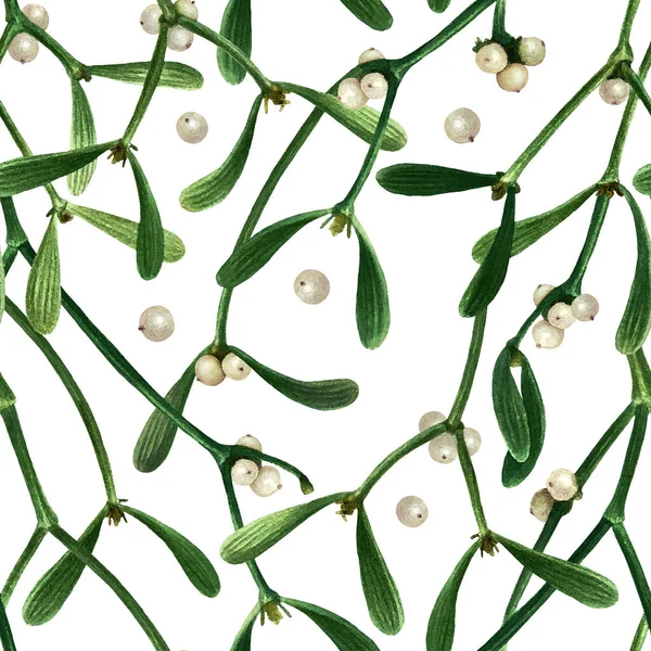 Botanisk Akvarell Sömlös Mönster Isolerad Vit Bakgrund Julblommönster Med Mistel — Stockfoto
