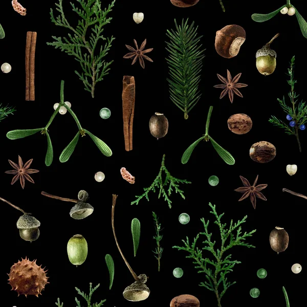 植物水色无缝图案孤立在黑色背景上 圣诞花卉图案 有寄生 Thuja 肉桂作你的设计 纺织品和其他 — 图库照片