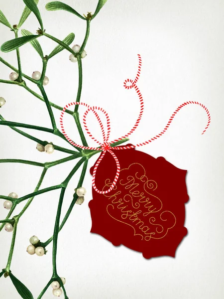 Hälsning Julkort Med Mistel Isolerad Gammalt Papper Bakgrund Akvarell Vykort — Stockfoto