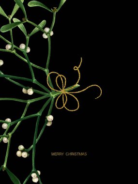 Siyah arka planda ökseotu olan bir Noel kartı. Ökse otlu suluboya kartpostal, mektuplar, basılmaya hazır.