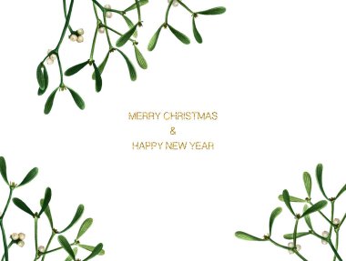 Beyaz arka planda ökseotu olan bir Noel kartı. Ökseotu, etiket, el yazısı, basılmaya hazır mektuplar içeren suluboya kartpostal.