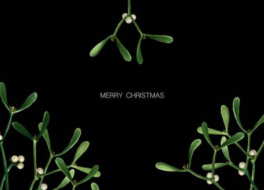 Siyah arka planda ökseotu olan bir Noel kartı. Ökse otlu suluboya kartpostal, mektuplar, basılmaya hazır.