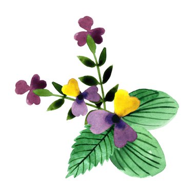 El yapımı suluboya çiçek aranjmanı beyaz arka planda izole edilmiş. Tasarım, tekstil, kartpostallar, desenler için sevimli, naif bir buket çiçek. 
